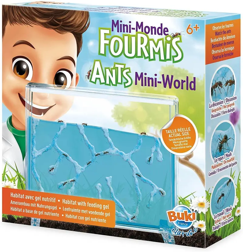 Ants Mini-World Discovery Kit – Buki France 1