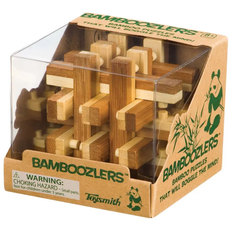 Bamboozlers Brain Teaser Puzzle Set 1
