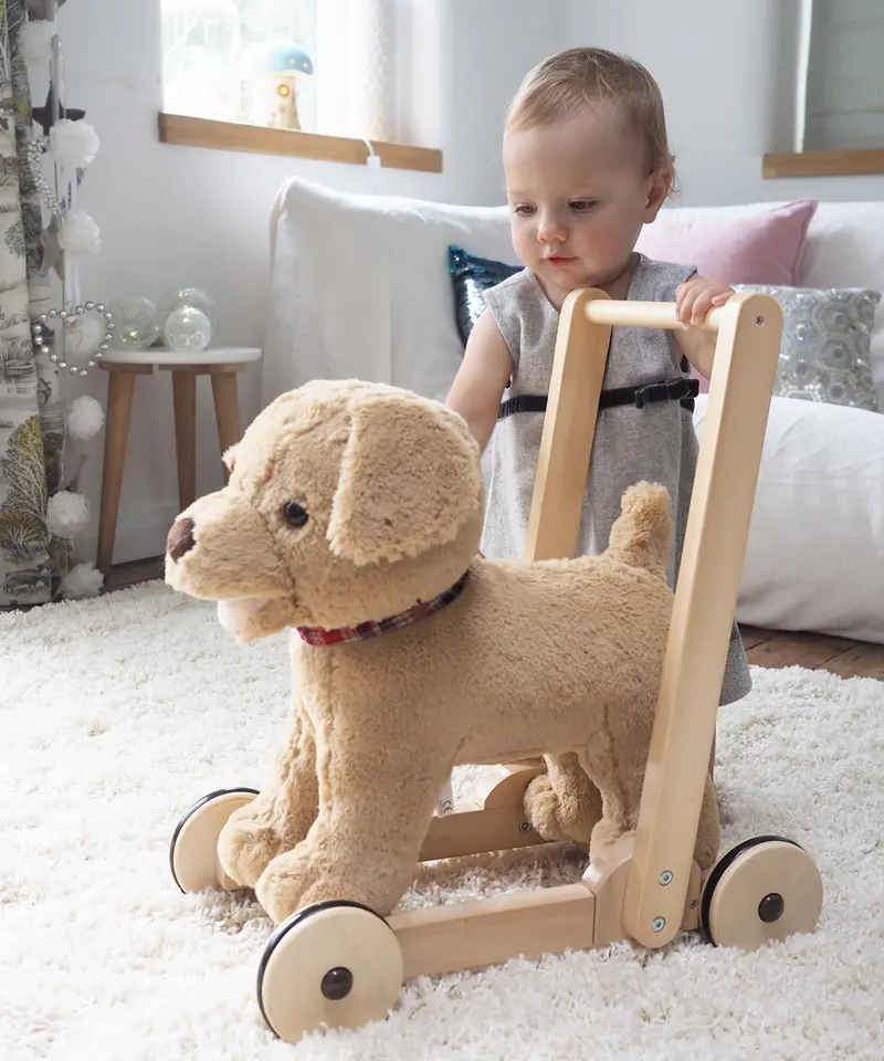 Little Bird Told Me Lb3052 Dexter Dog Push-Along Toy For Babies & Toddlers 1
