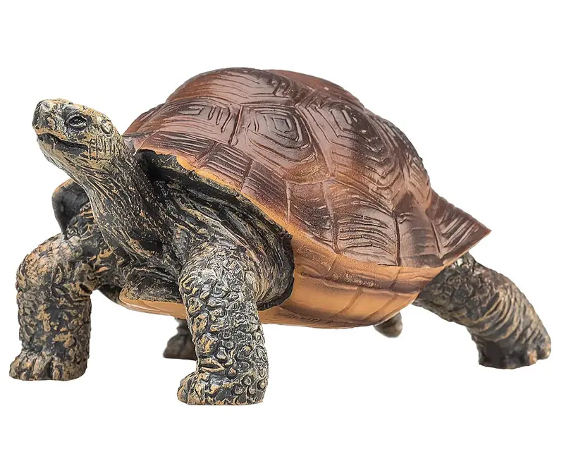 Mojo 387259 Giant Tortoise Figurine – Wildlife Reptile Collection 1