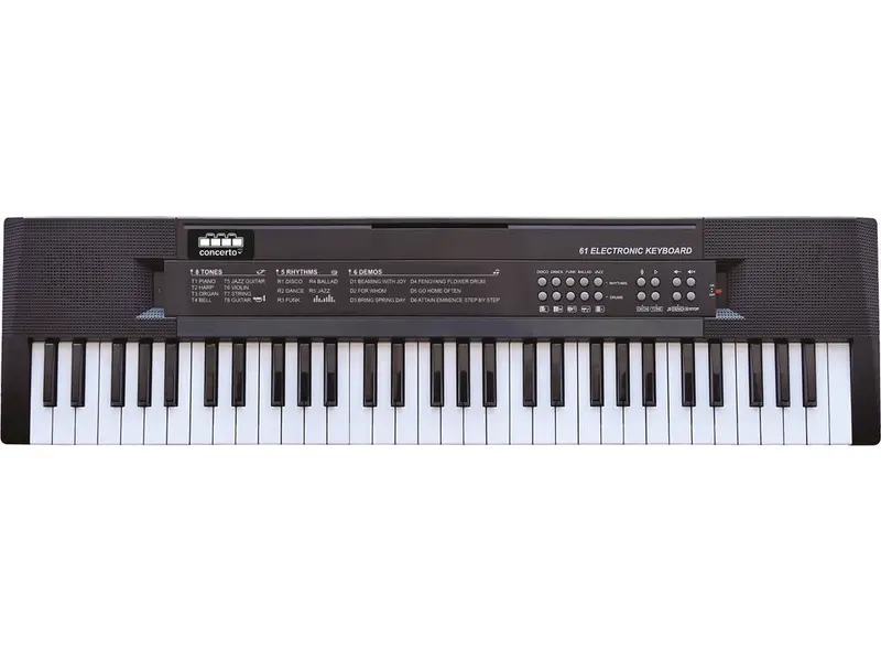 Reig Melodic Toy Organ With Musical Keys (8928) 1