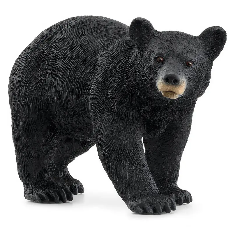 Schleich American Black Bear Figure – Lifelike Wildlife Collectible 1