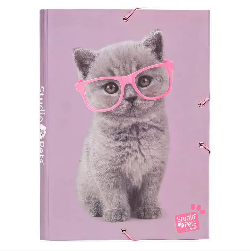 Studio Pets Cat-Themed A4 Elastic Document Folder 1