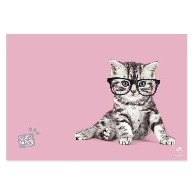 Studio Pets Cats Desktop Mat – Illustrated Mousepad & Study Surface 1