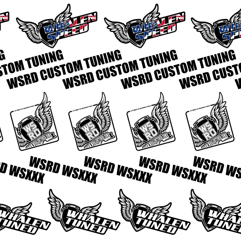 Wsrd Wsxxx Standalone Ecu Tuning Packages – Can-Am X3, Ski-Doo, Rzr, Yxz 1